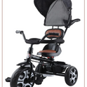 Tricycle with Canopy, Parental Push Handle & Leather Seat
