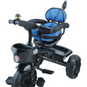 Tricycle with Safety Guardrail (TZ-531 Blue)